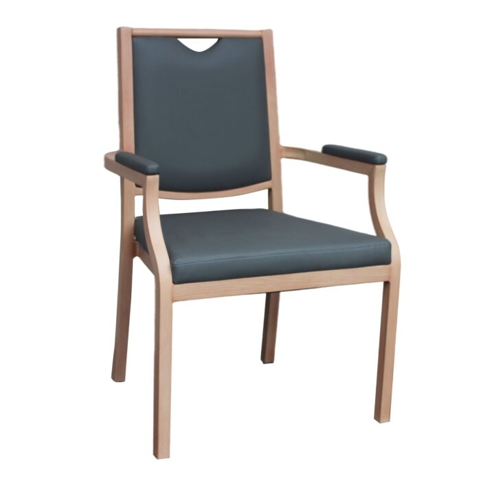 Gizmo Metal Arm Chair