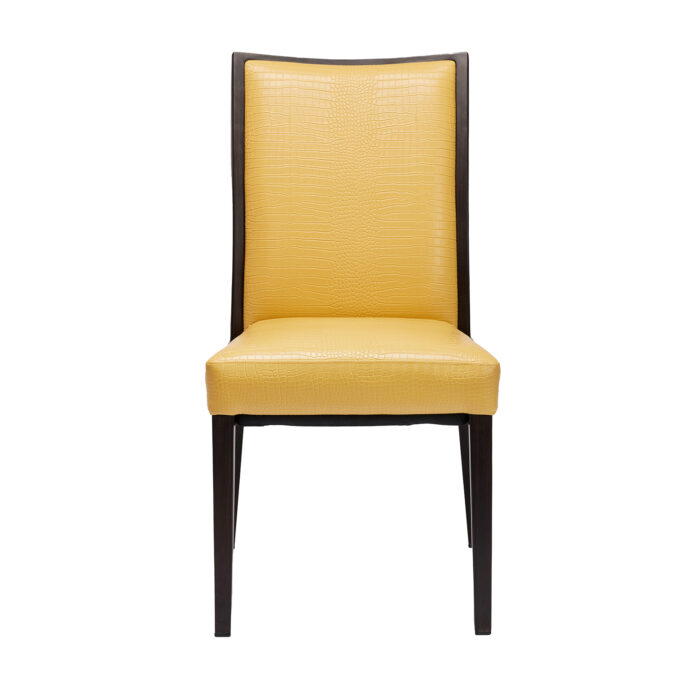 Hayden Metal Chair