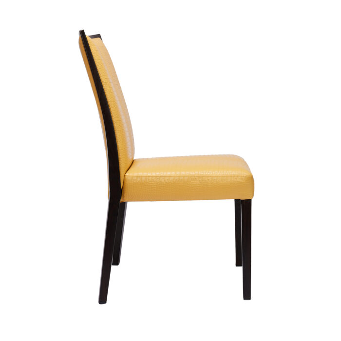 Hayden Metal Chair