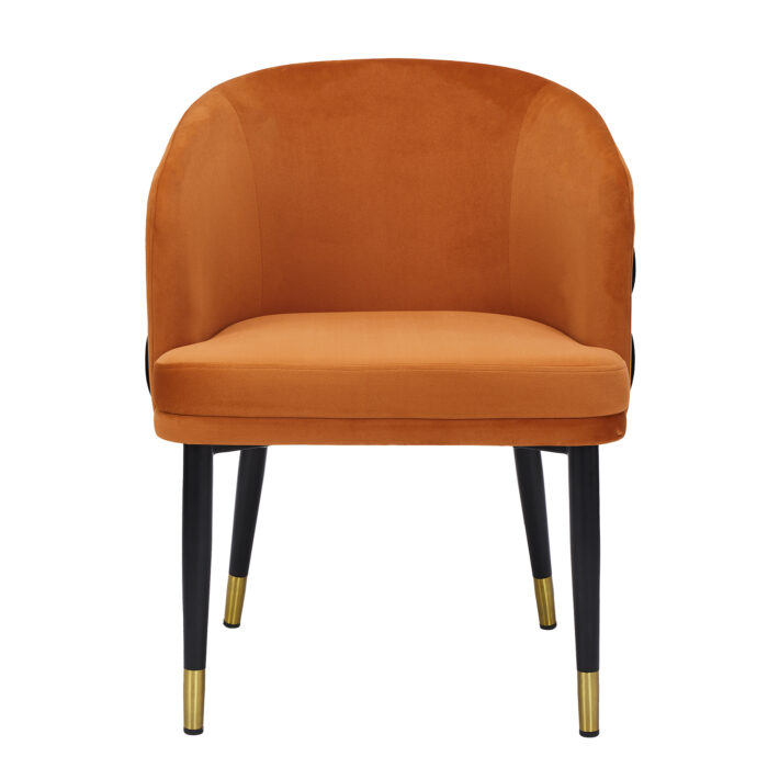 Donnatella Metal Chair